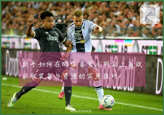 新手如何在mk体育官方网站上高效获取装备与资源的实用技巧
