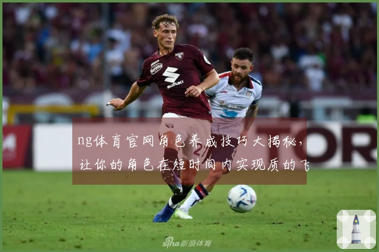 ng体育官网角色养成技巧大揭秘，让你的角色在短时间内实现质的飞跃！