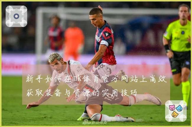 新手如何在mk体育官方网站上高效获取装备与资源的实用技巧